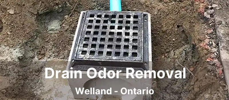  Drain Odor Removal Welland - Ontario